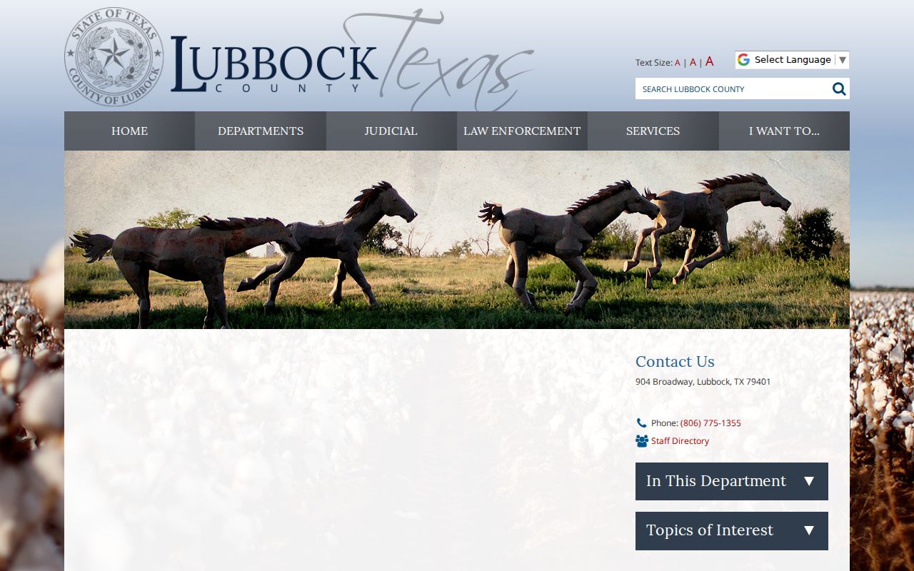 Lubbock County criminal docket county courts directory