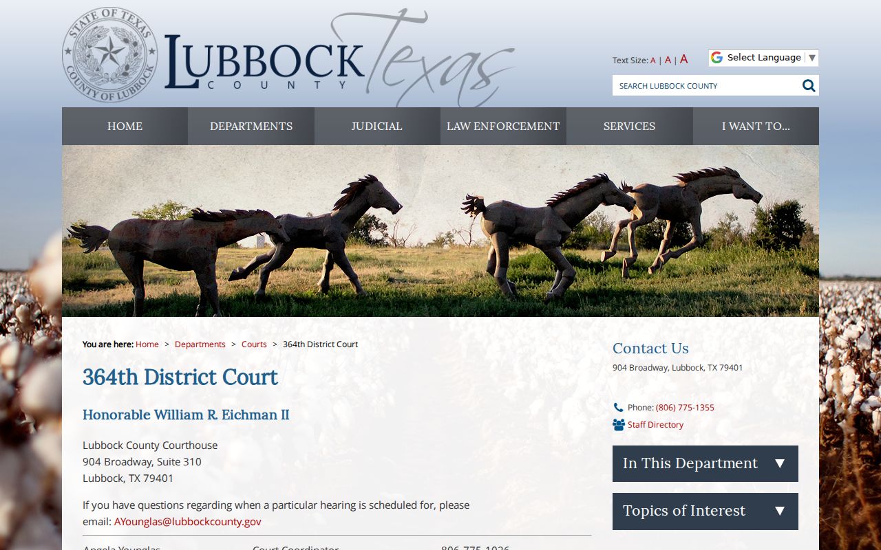 Lubbock County civil docket 364th District Court