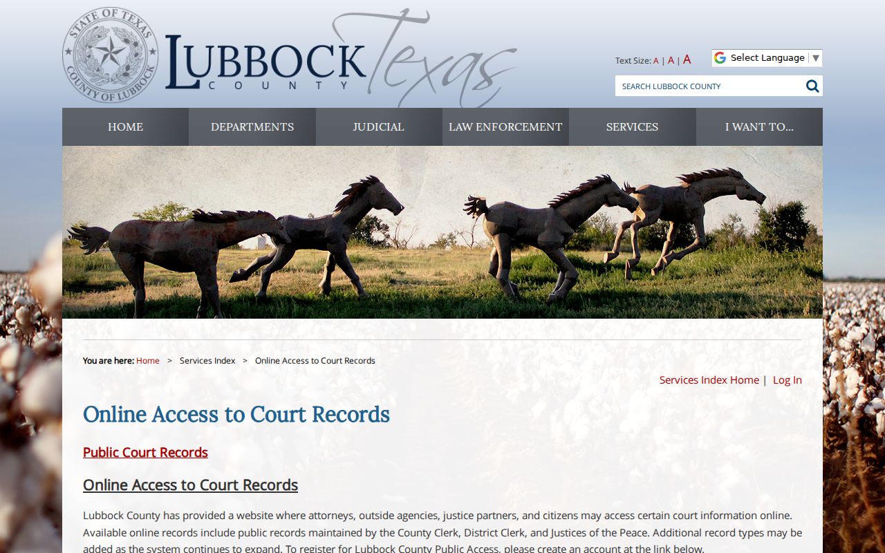 Lubbock County court docket online and courthouse access